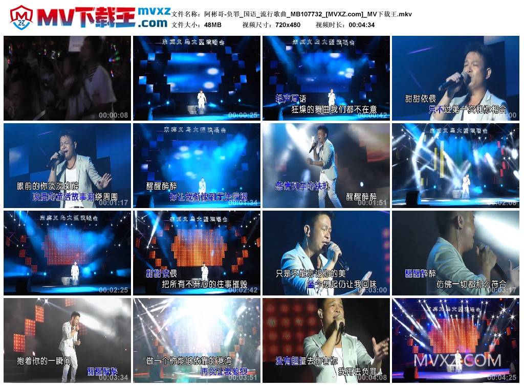 阿彬哥-负罪_国语_流行歌曲_MB107732
